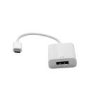 USB-C to DisplayPort Adapter Converter 6 Inch DP V3.1